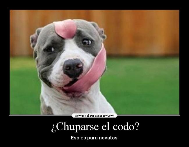 ¿Chuparse el codo? - 