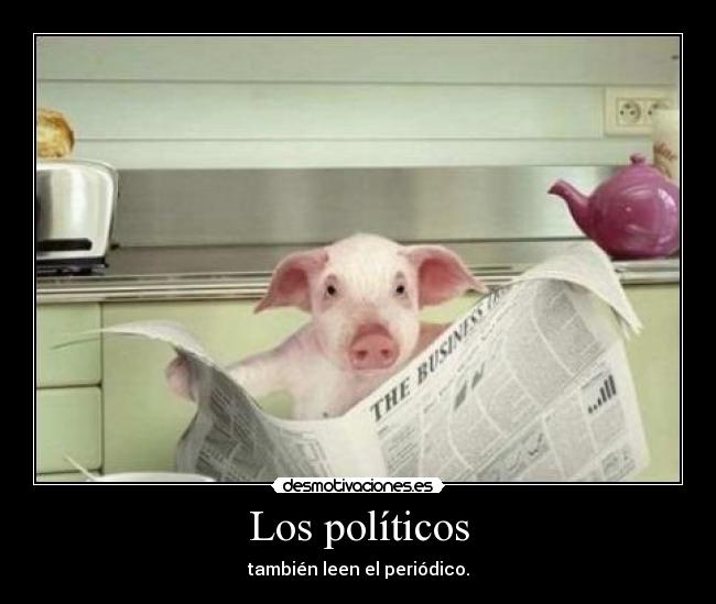 Los políticos - también leen el periódico.