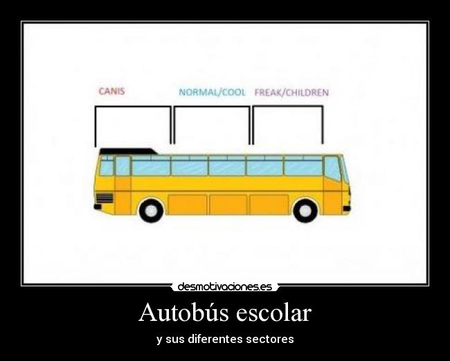 Autobús escolar - 