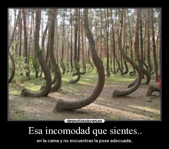 Esa incomodad que sientes.. -