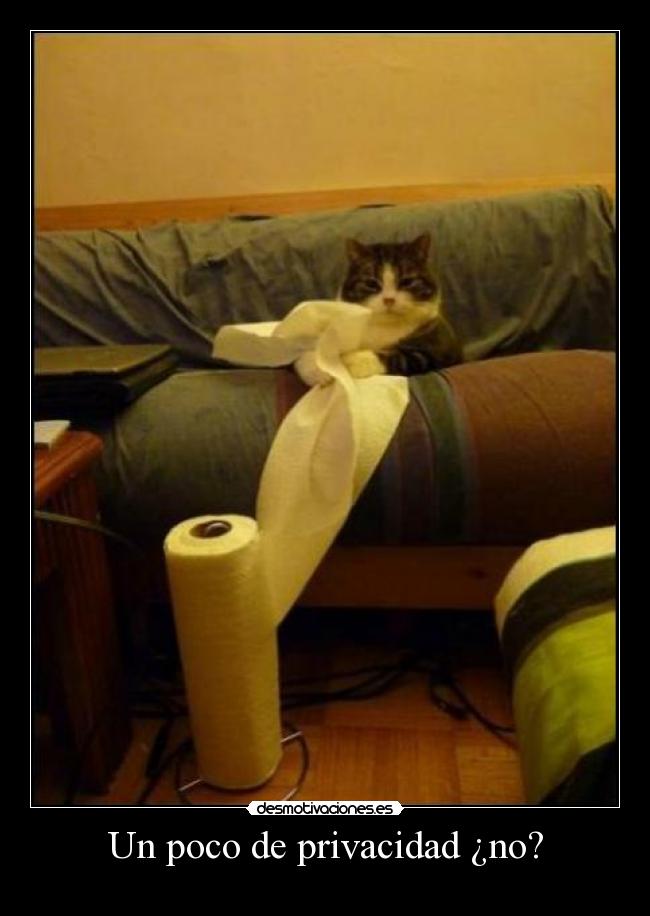 Un poco de privacidad ¿no? -