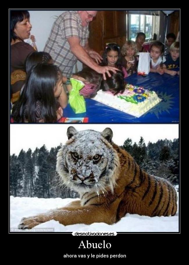 Abuelo - ahora vas y le pides perdon