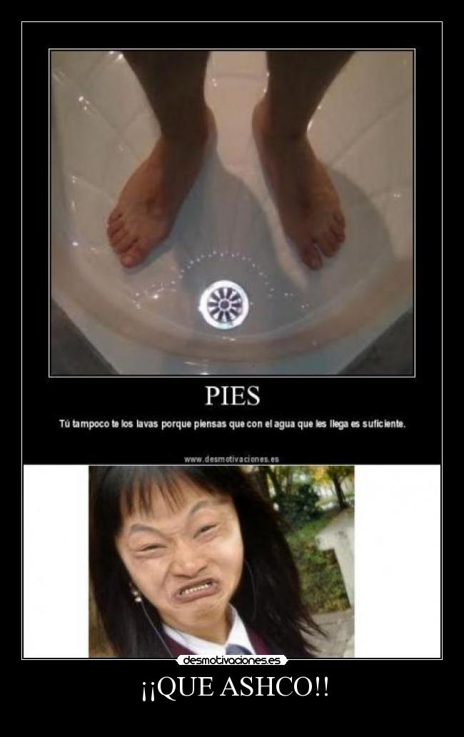 ¡¡QUE ASHCO!! -