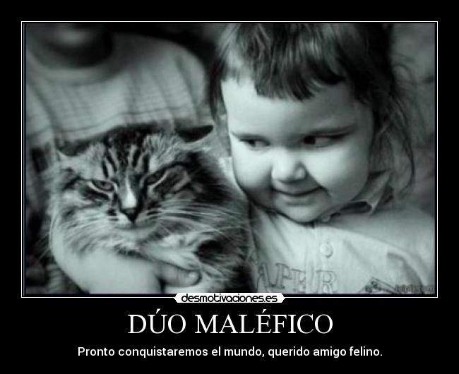 DÚO MALÉFICO - Pronto conquistaremos el mundo, querido amigo felino.