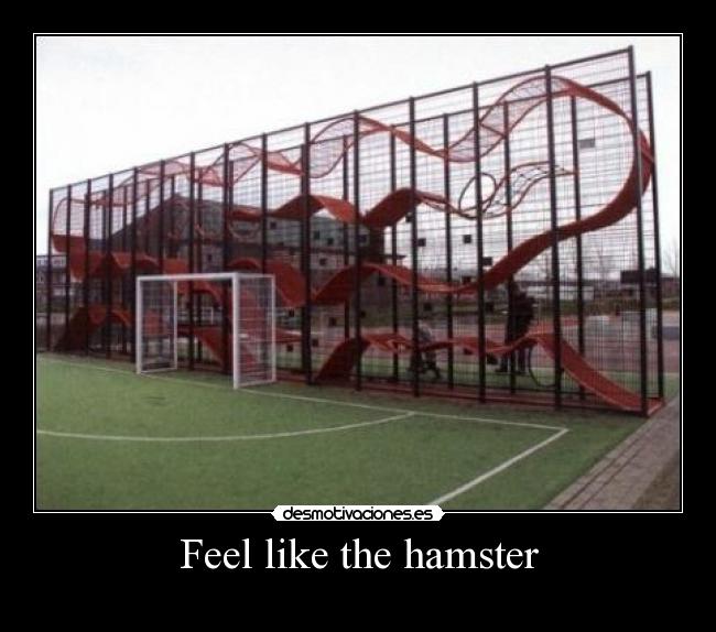 Feel like the hamster -