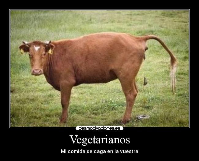 Vegetarianos - 