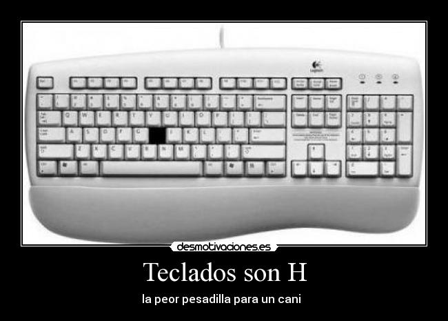 Teclados son H - la peor pesadilla para un cani  
