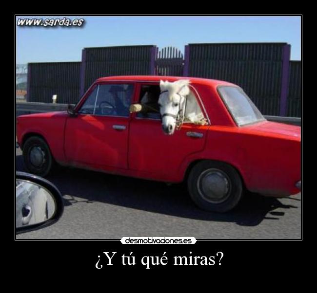 ¿Y tú qué miras? - 