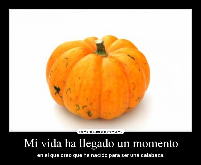 Mi vida ha llegado un momento - 