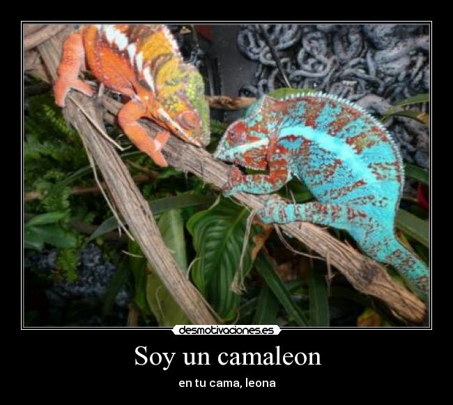 Soy un camaleon -