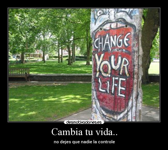 carteles vida cambia vida dejes que nadie controle desmotivaciones