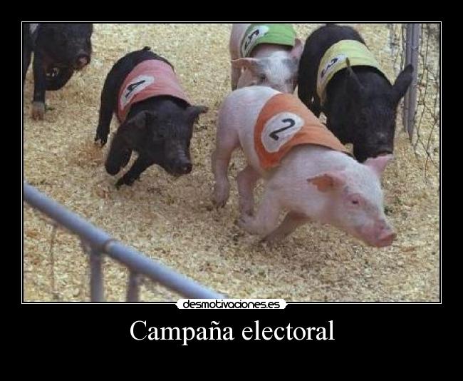 Campaña electoral - 