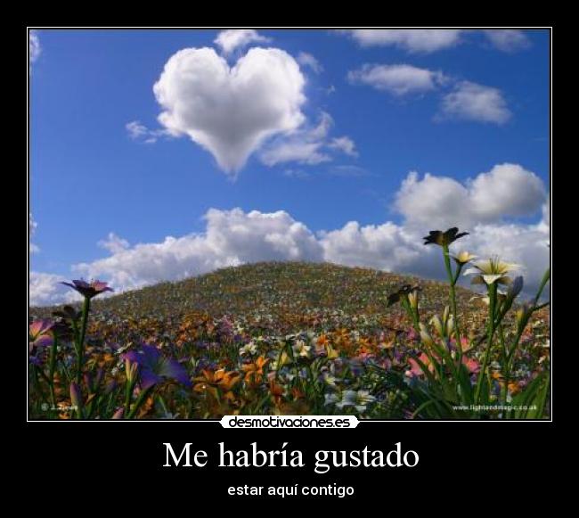 Me habría gustado - estar aquí contigo