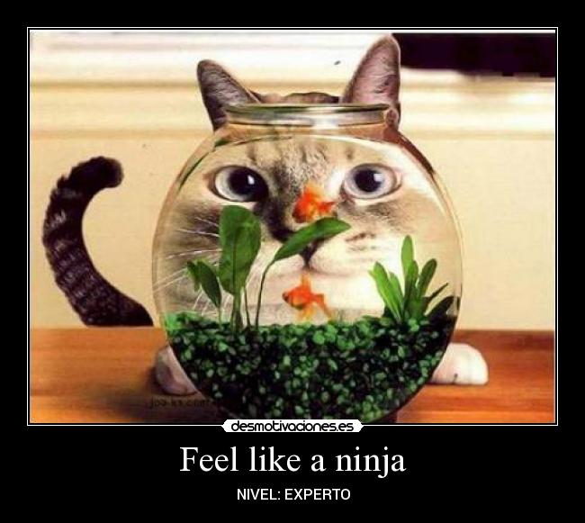 Feel like a ninja -
