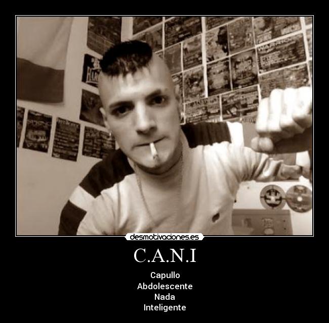 C.A.N.I - 