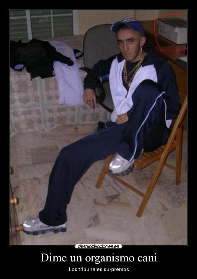 Dime un organismo cani -