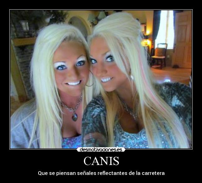 CANIS - 