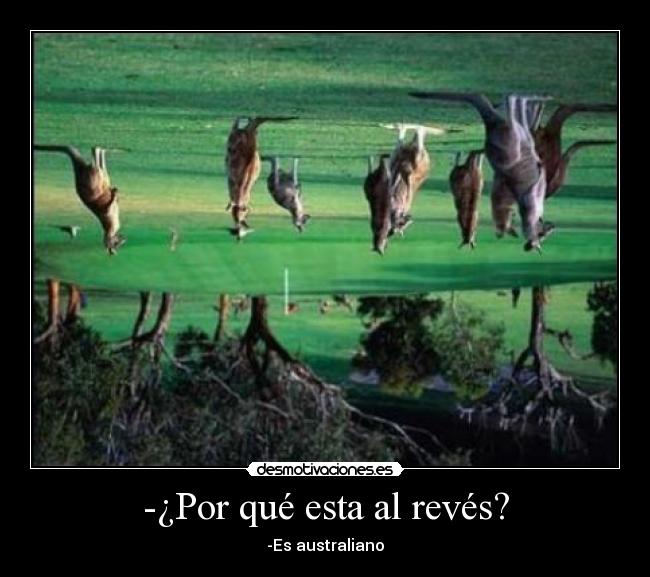 -¿Por qué esta al revés? - -Es australiano