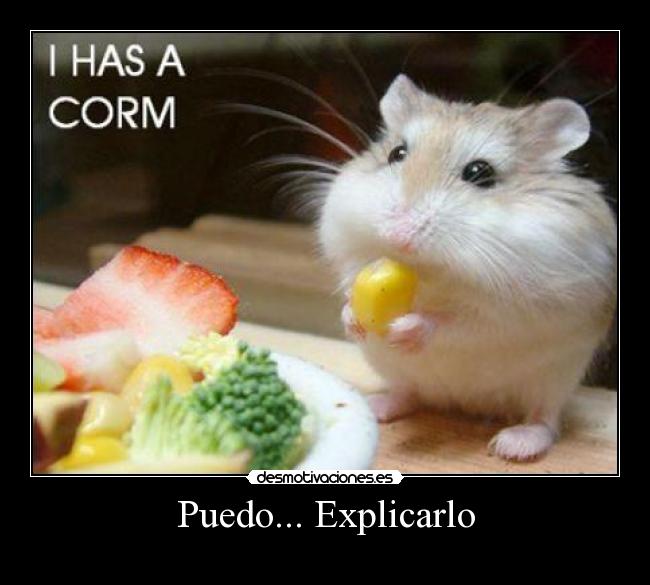 Puedo... Explicarlo - 