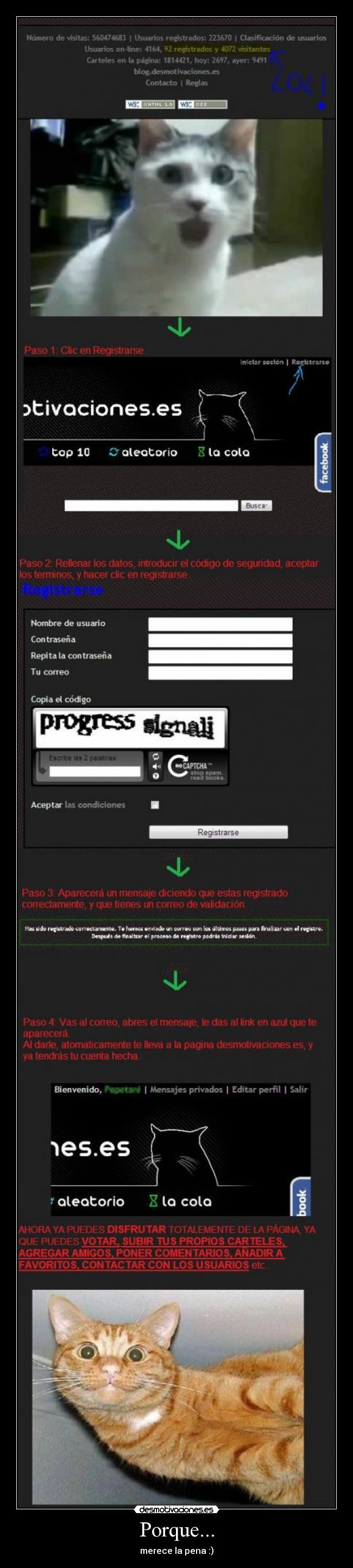 Porque... - merece la pena :)