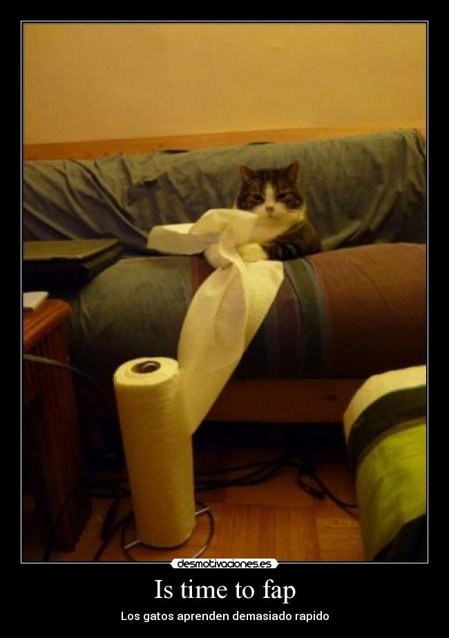 Is time to fap - Los gatos aprenden demasiado rapido