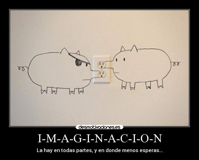 carteles starship waltk gatos desmotivaciones