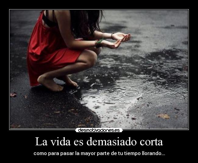 La vida es demasiado corta -