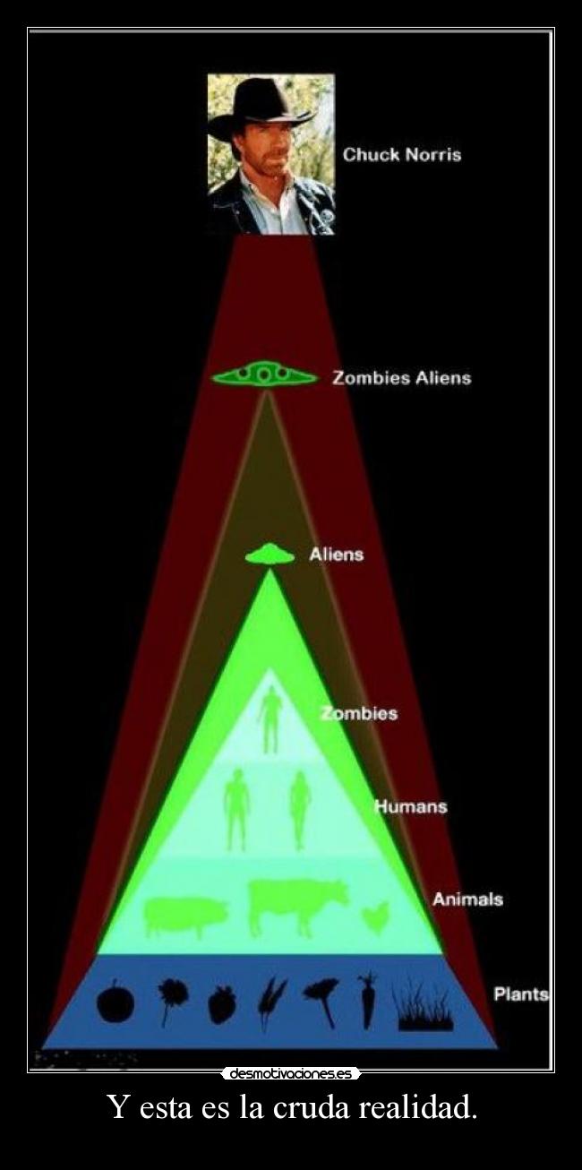Y esta es la cruda realidad. - 