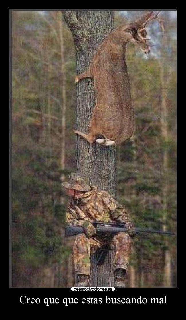 Creo que que estas buscando mal - 