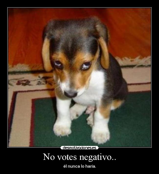 No votes negativo.. -