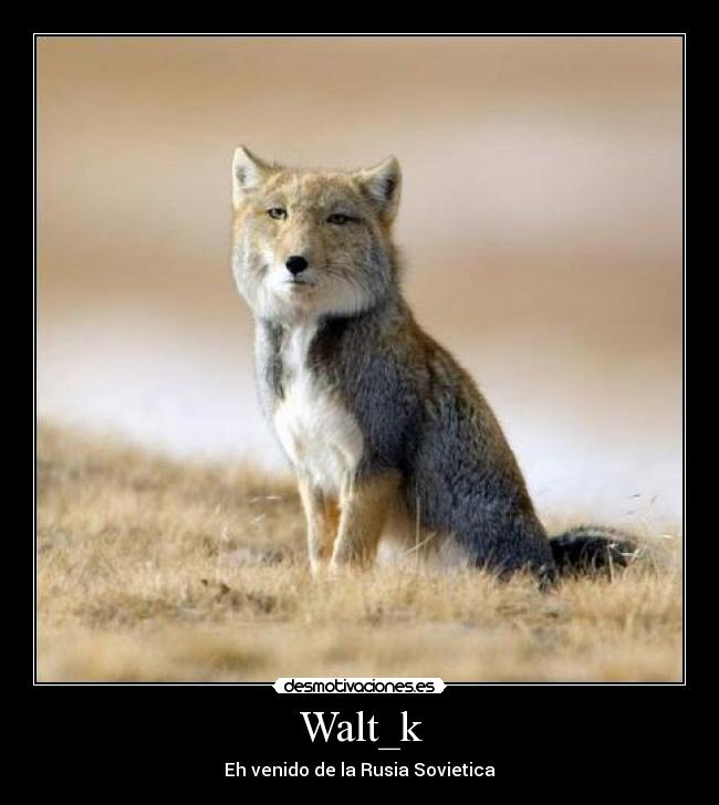 Walt_k -