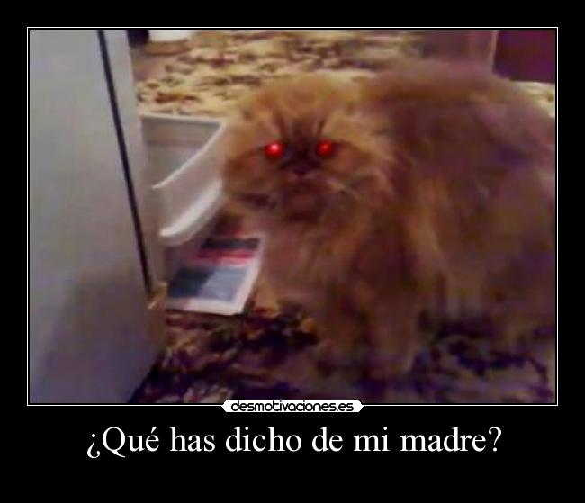 ¿Qué has dicho de mi madre? -