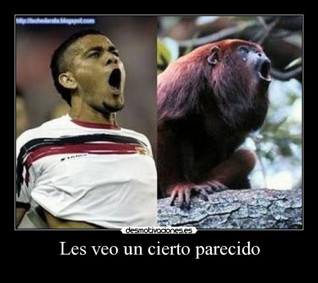 Les veo un cierto parecido -