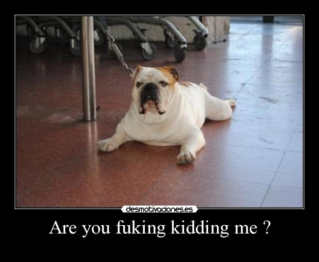 Are you fuking kidding me ? -
