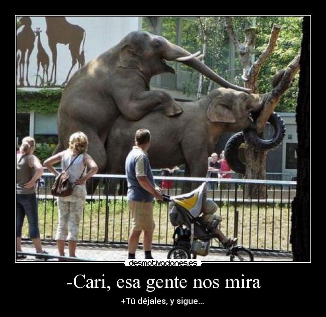 -Cari, esa gente nos mira - +Tú déjales, y sigue...