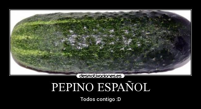 PEPINO ESPAÑOL - 