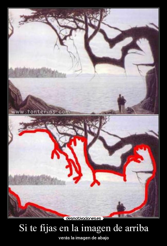 Si te fijas en la imagen de arriba - 