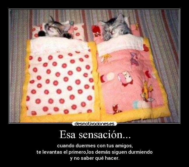 Esa sensación... -