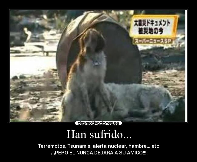 Han sufrido... -