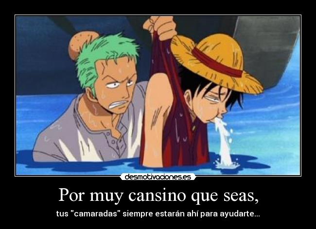 carteles one piece desmotivaciones