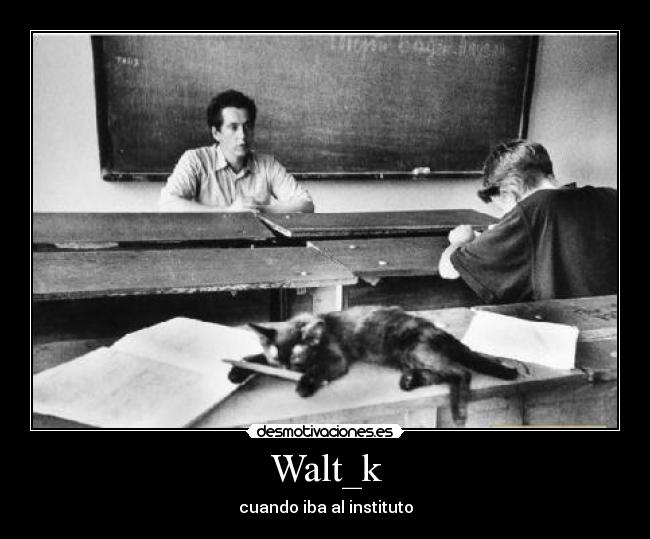 Walt_k - 