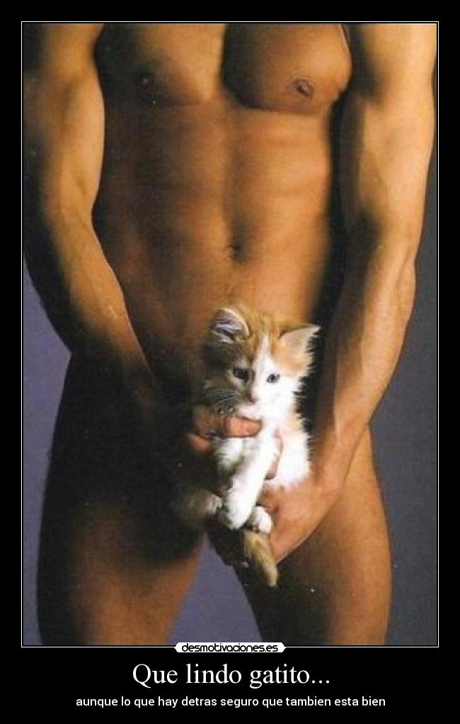 Que lindo gatito... - 
