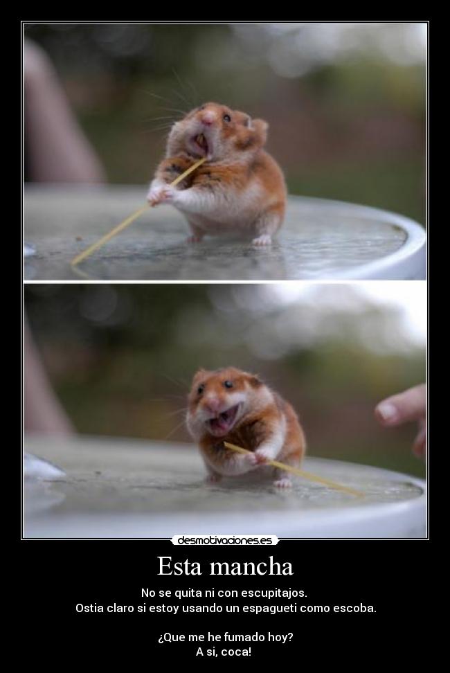 Esta mancha - No se quita ni con escupitajos. 
Ostia claro si estoy usando un espagueti como escoba.

¿Que me he fumado hoy?
A si, coca! 