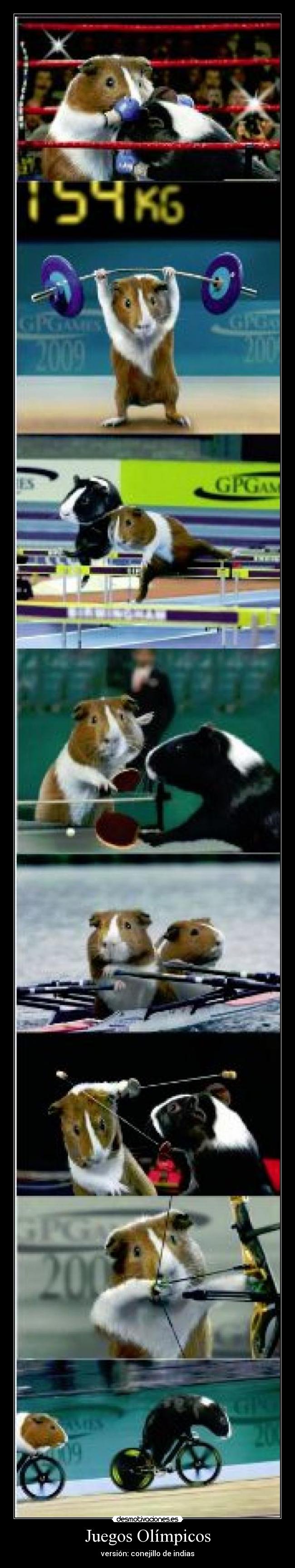 Juegos Olímpicos - 
