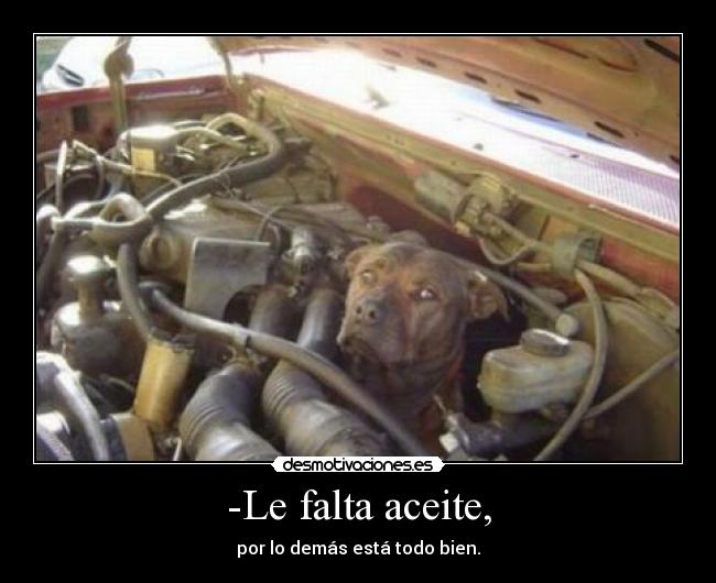 -Le falta aceite, -