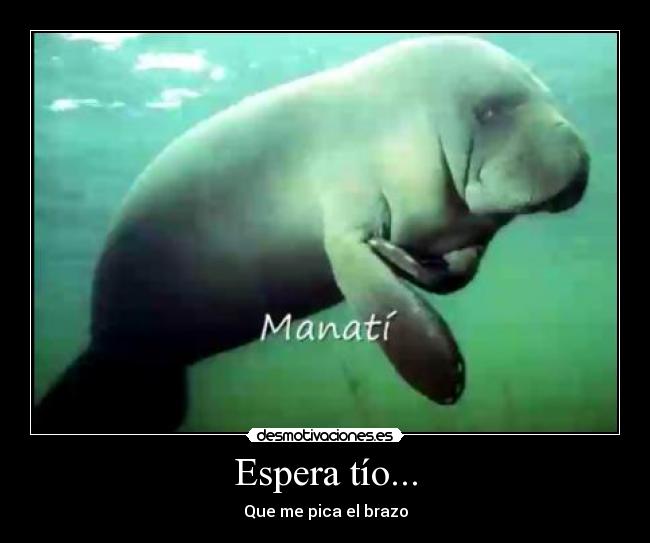 Espera tío... - 