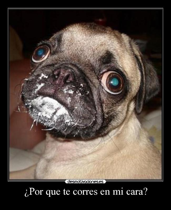 ¿Por que te corres en mi cara? -