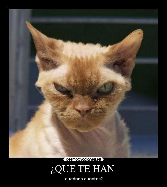 ¿QUE TE HAN - quedado cuantas?