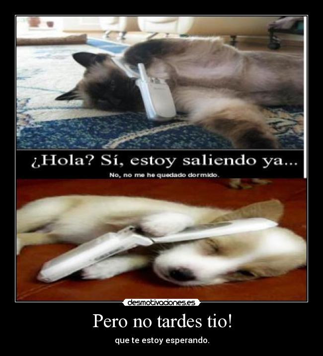 Pero no tardes tio! - 