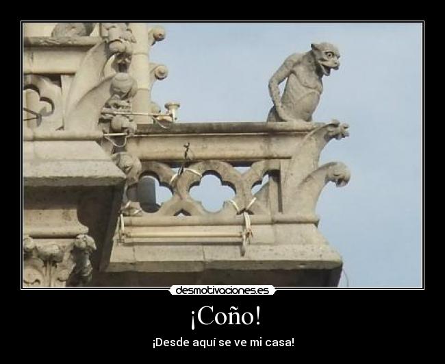 ¡Coño! - 